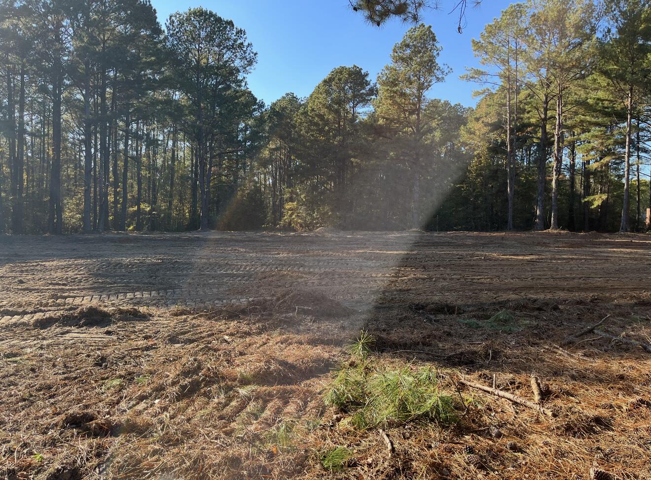 2400 Morris Callaway Road Appling, GA 30802 - Photo 5 of 6 VIEW FACING REAR OF LOT