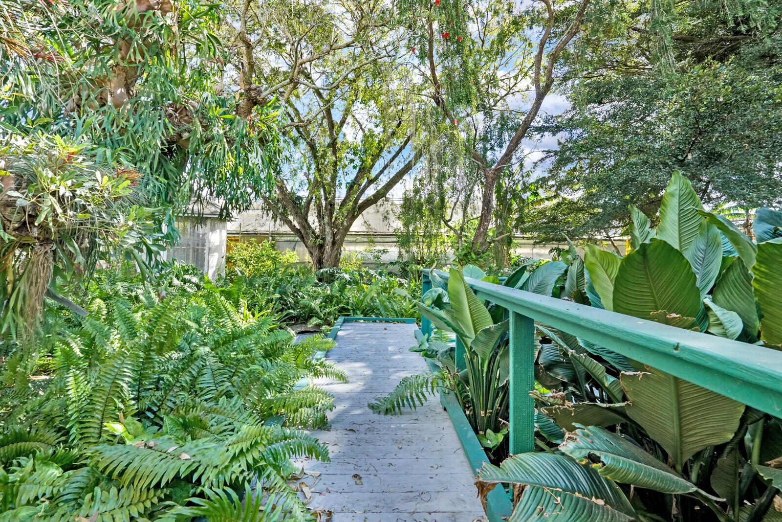 1101 Tabit Road Belle Glade, FL 33430 - Photo 29 of 43 garden