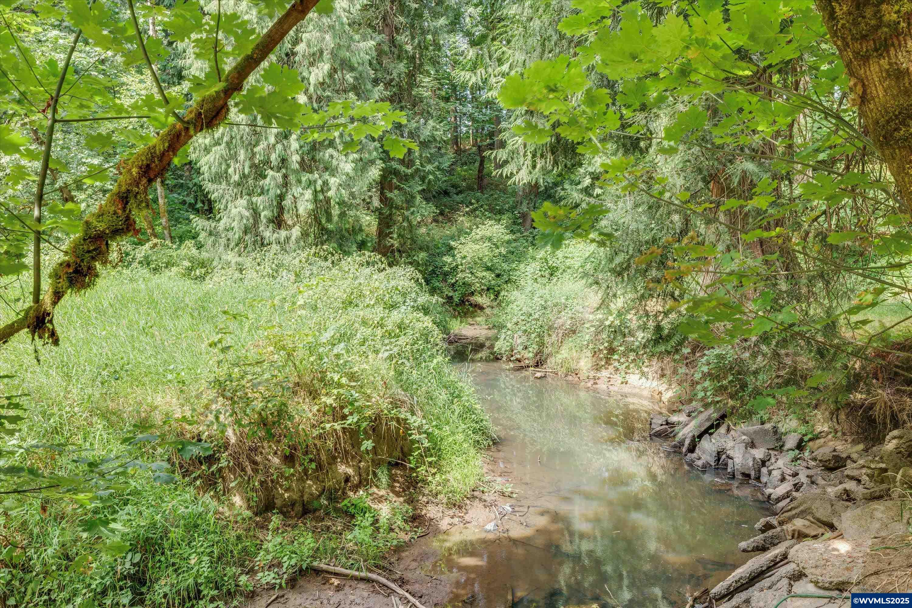 21303 South Central Point Road Canby, OR 97013 - Photo 50 of 50 a view of a forest with a tree