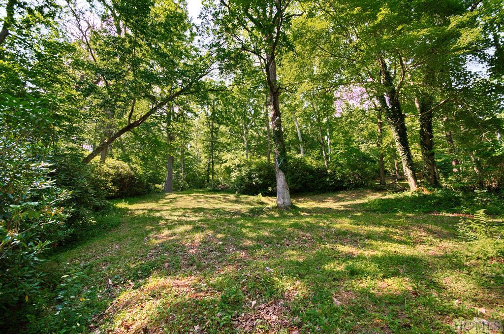 280 Falls Cove Road Cullowhee, NC 28723 - Photo 4 of 5 Gallery Image 4