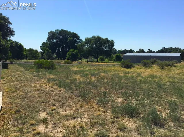 a view of a yard with plants