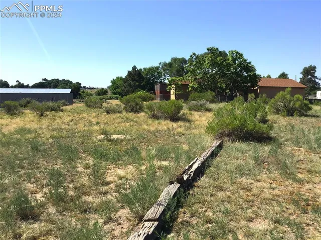 a view of yard with green space