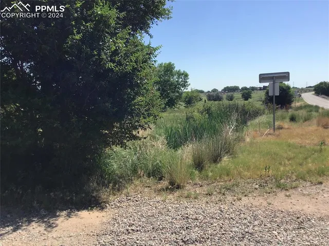 a view of a garden with a lake