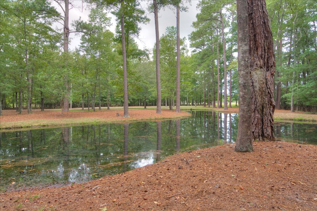 148 Twin Creek Farm Road Aiken, SC 29805 - Photo 52 of 62