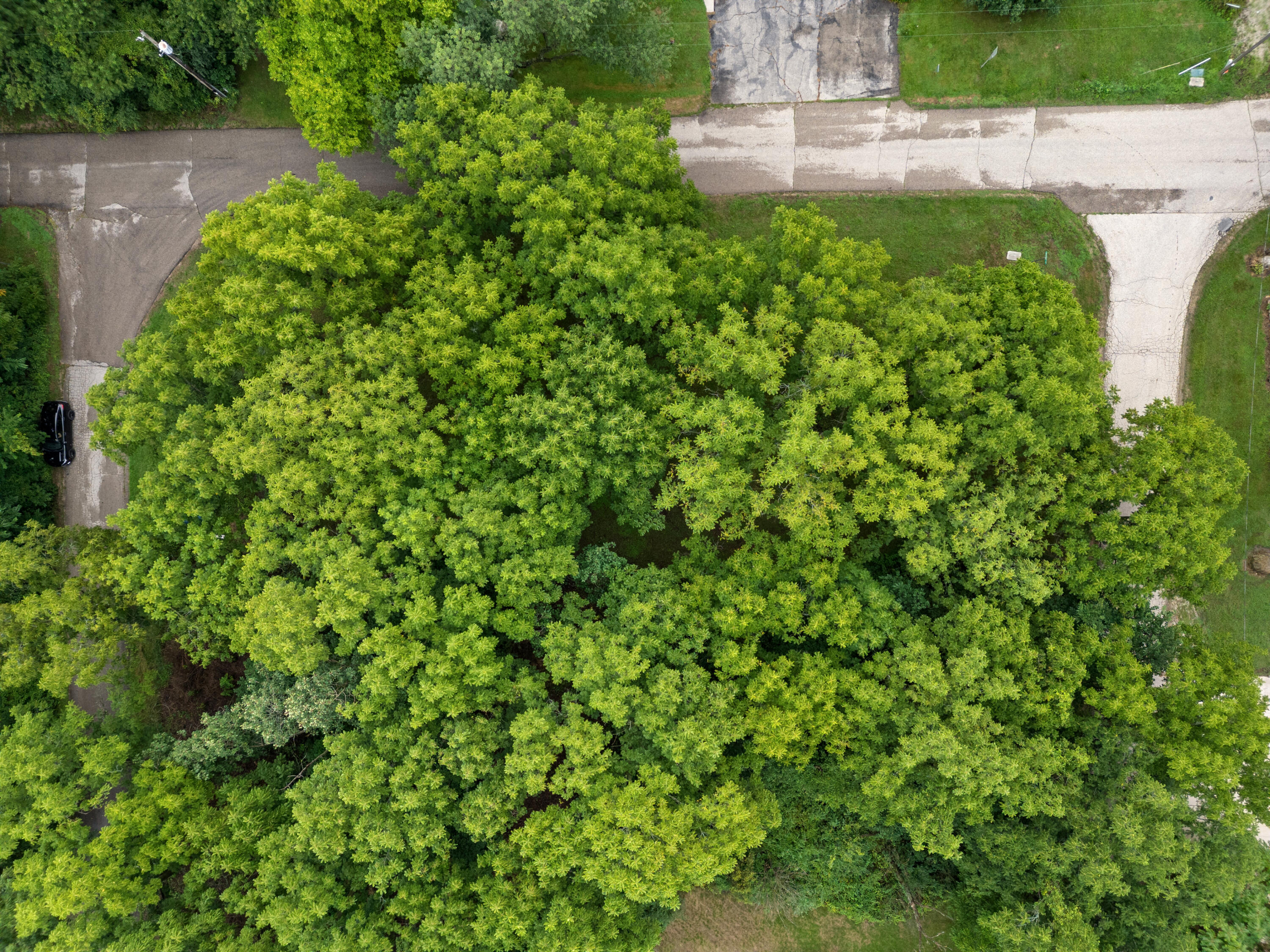 Lt12 Walnut Road, Unit LT13 LT14 LT15 Delavan, WI 53115 - Photo 8 of 9 3-DJI_0144