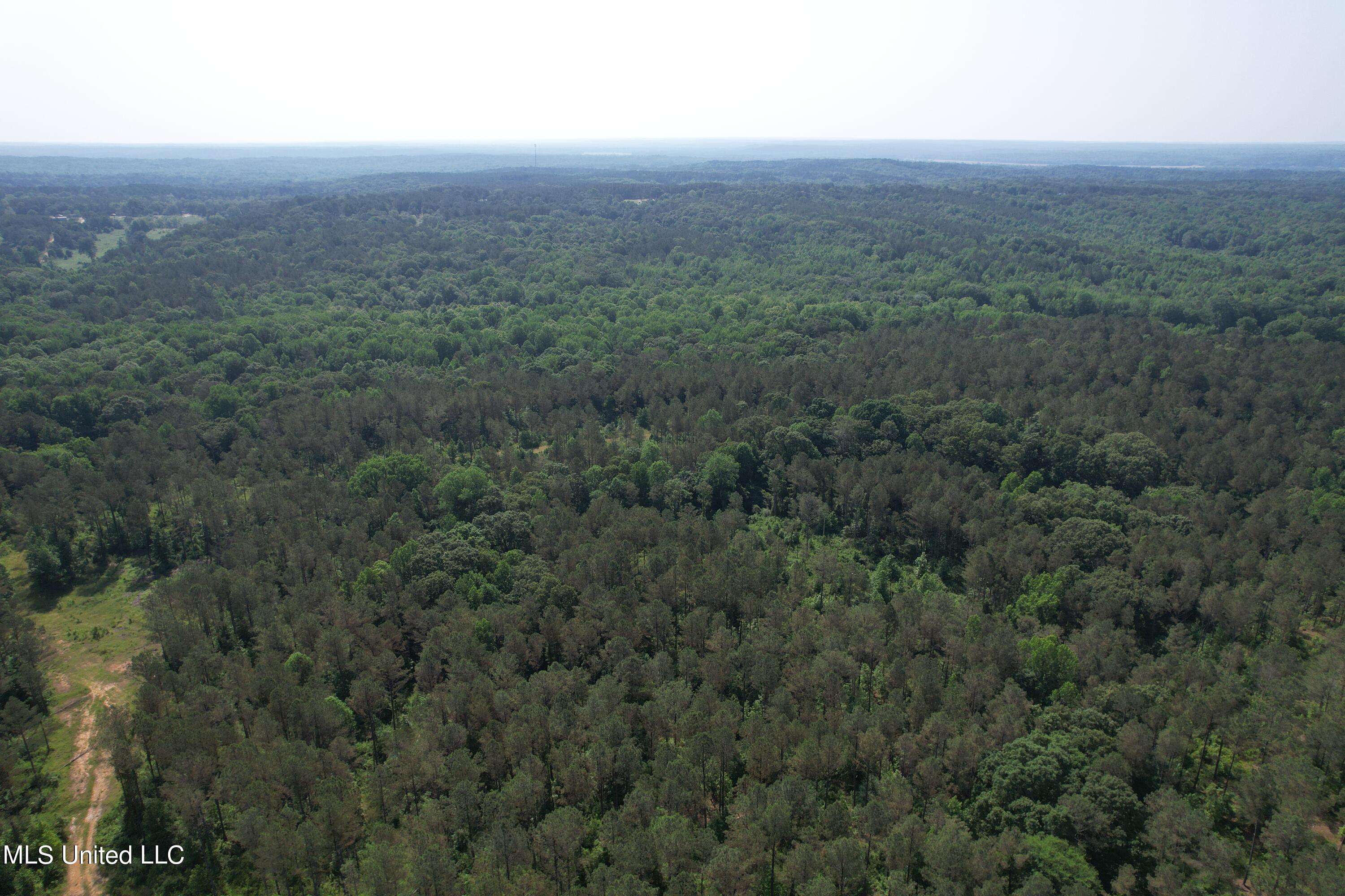 323 County Road Oxford, MS 38655 - Photo 11 of 38 DJI_0227