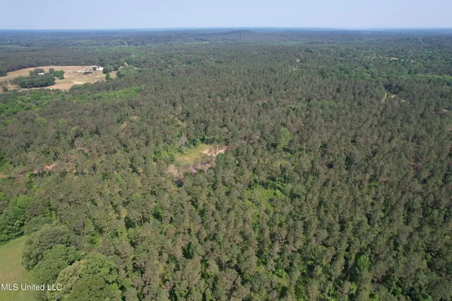 $2,250,000 | 323 County Road, Oxford, MS 38655