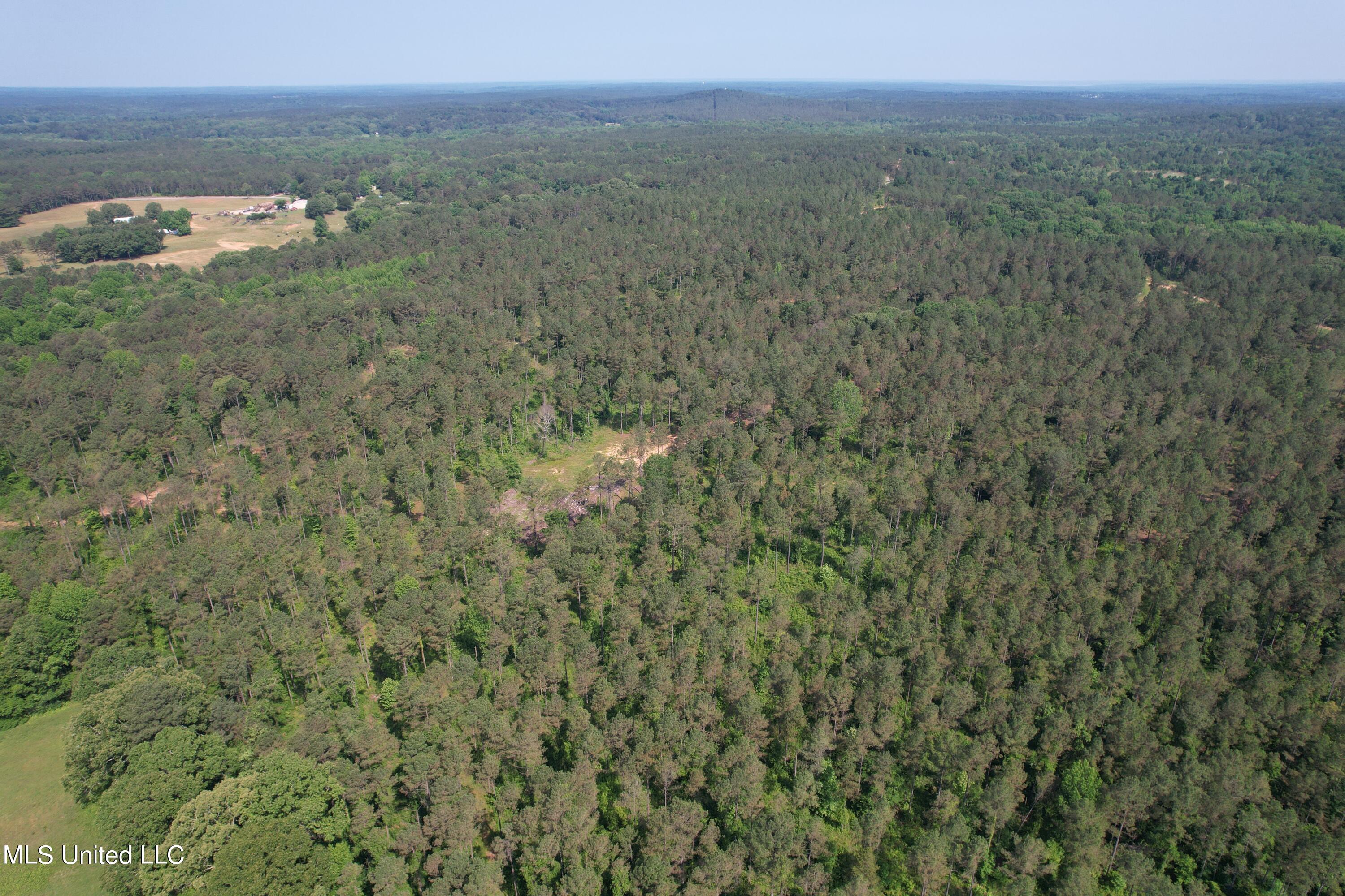 323 County Road Oxford, MS 38655 - Photo 13 of 38 DJI_0229