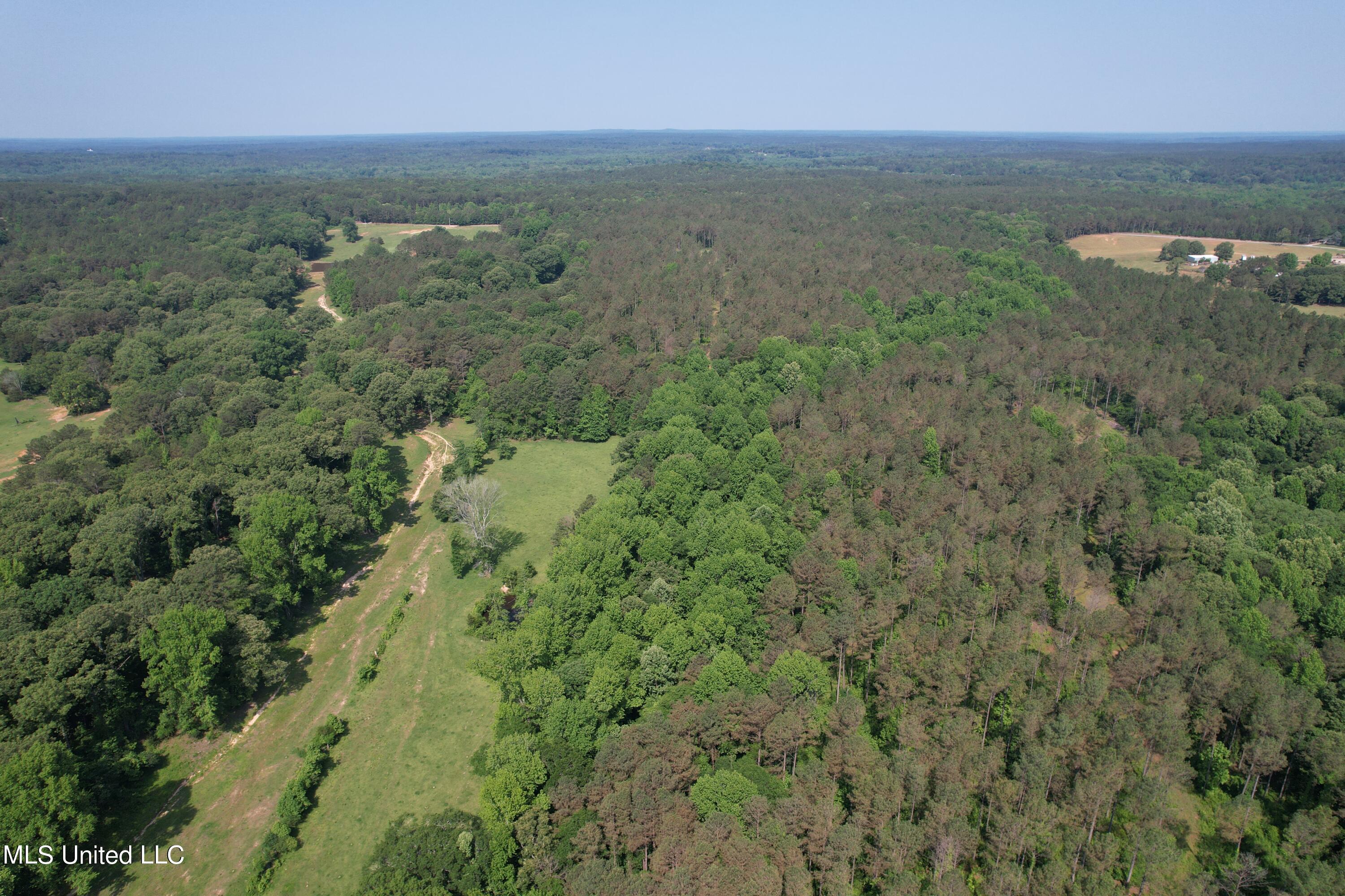 323 County Road Oxford, MS 38655 - Photo 15 of 38 DJI_0231