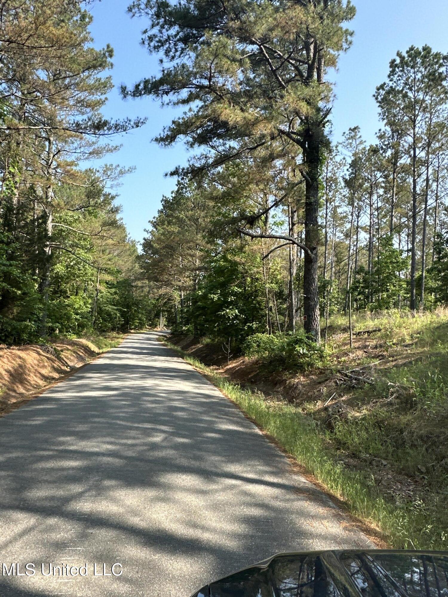 323 County Road Oxford, MS 38655 - Photo 16 of 38 IMG_4752