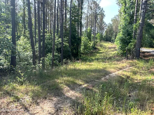 $2,250,000 | 323 County Road, Oxford, MS 38655