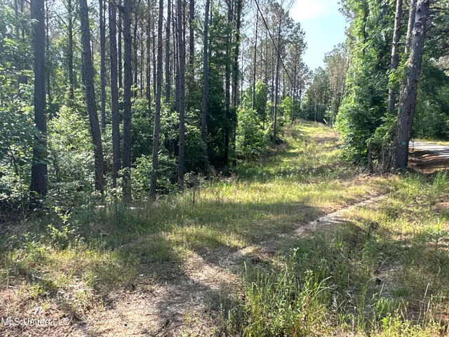 $2,250,000 | 323 County Road, Oxford, MS 38655