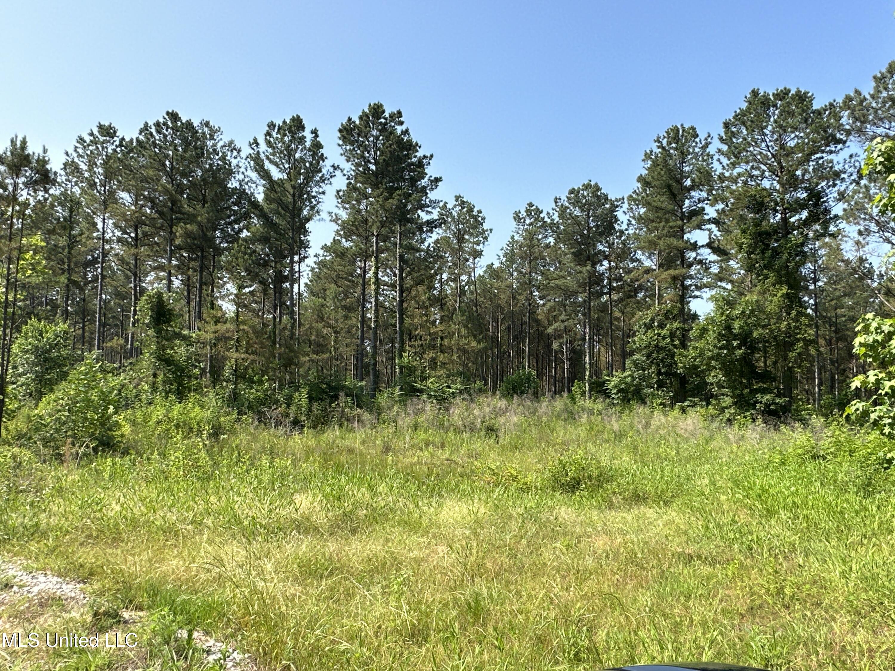 323 County Road Oxford, MS 38655 - Photo 21 of 38 IMG_4758