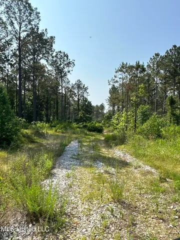 $2,250,000 | 323 County Road, Oxford, MS 38655