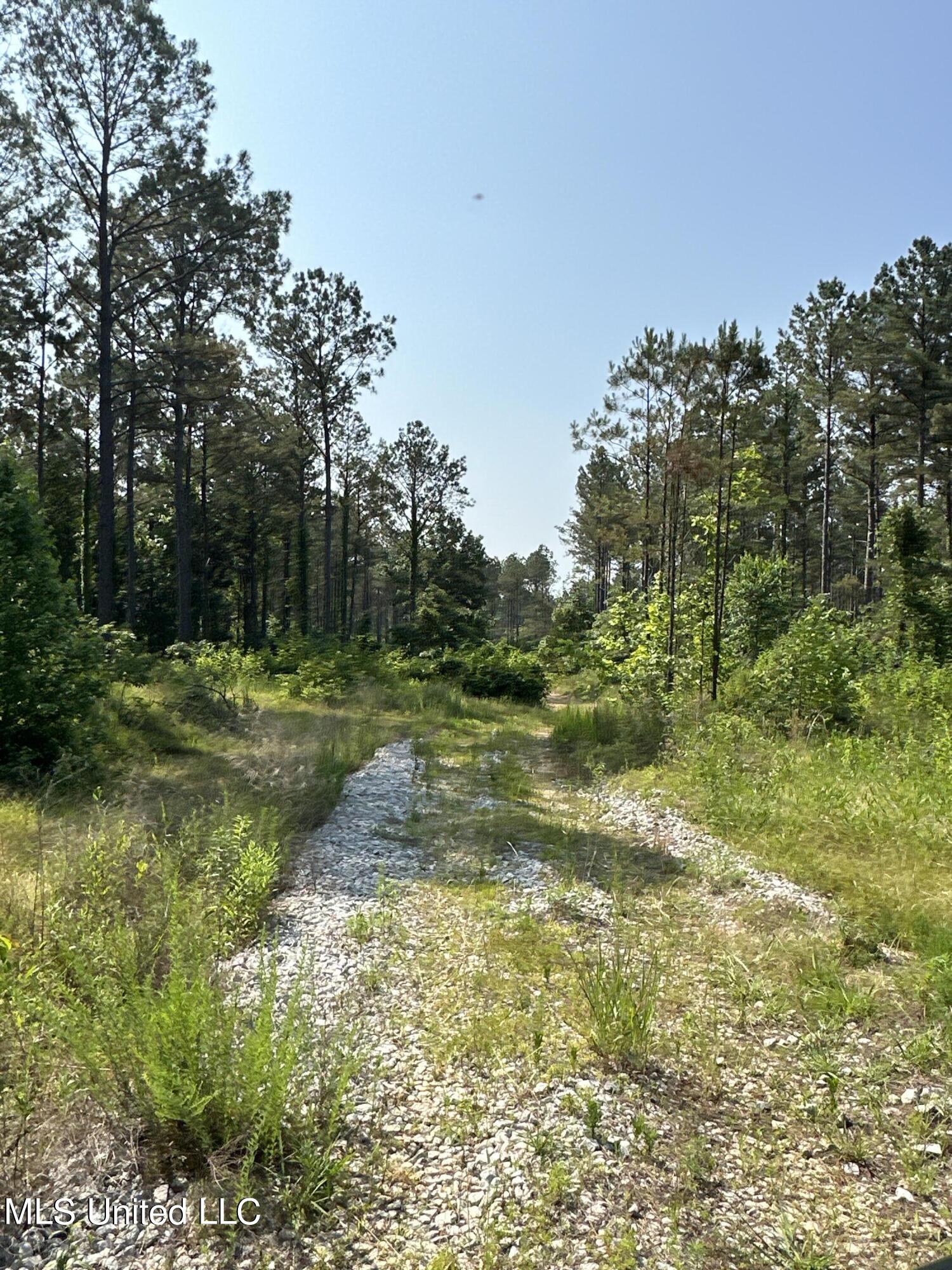 323 County Road Oxford, MS 38655 - Photo 22 of 38 IMG_4759