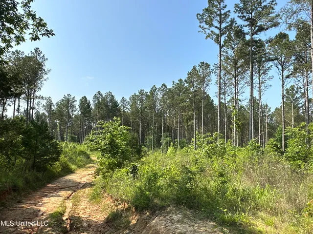 $2,250,000 | 323 County Road, Oxford, MS 38655
