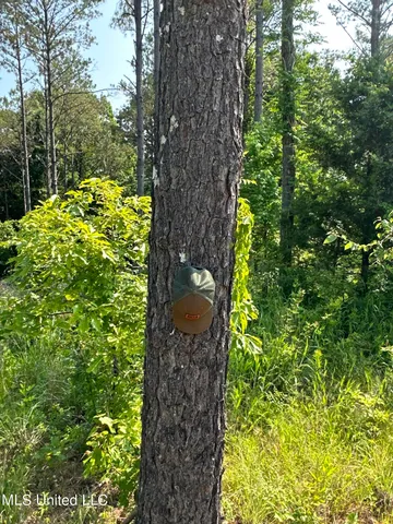 $2,250,000 | 323 County Road, Oxford, MS 38655