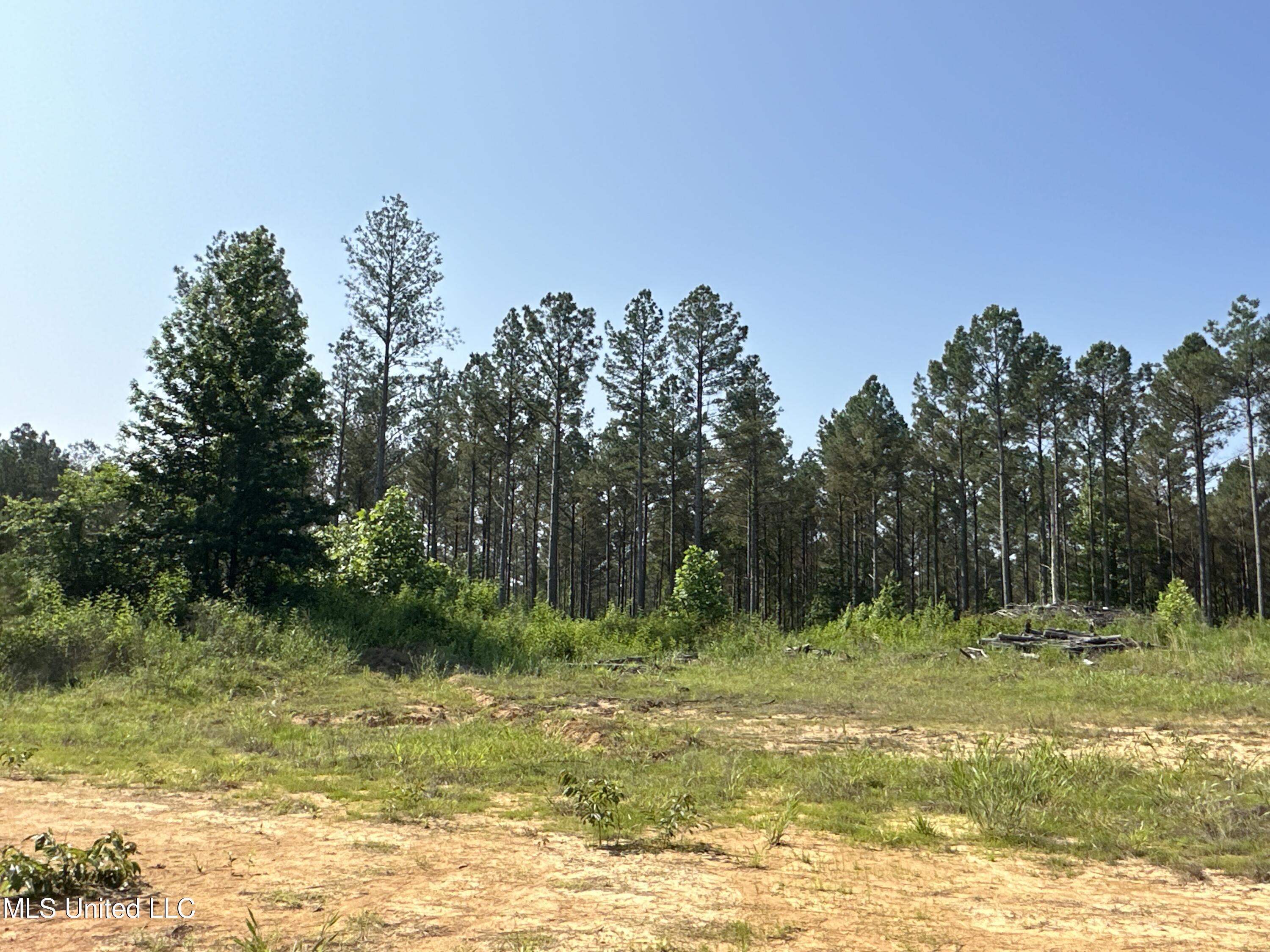 323 County Road Oxford, MS 38655 - Photo 25 of 38 IMG_4762