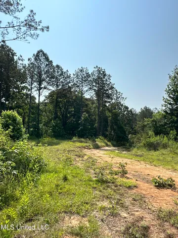 $2,250,000 | 323 County Road, Oxford, MS 38655
