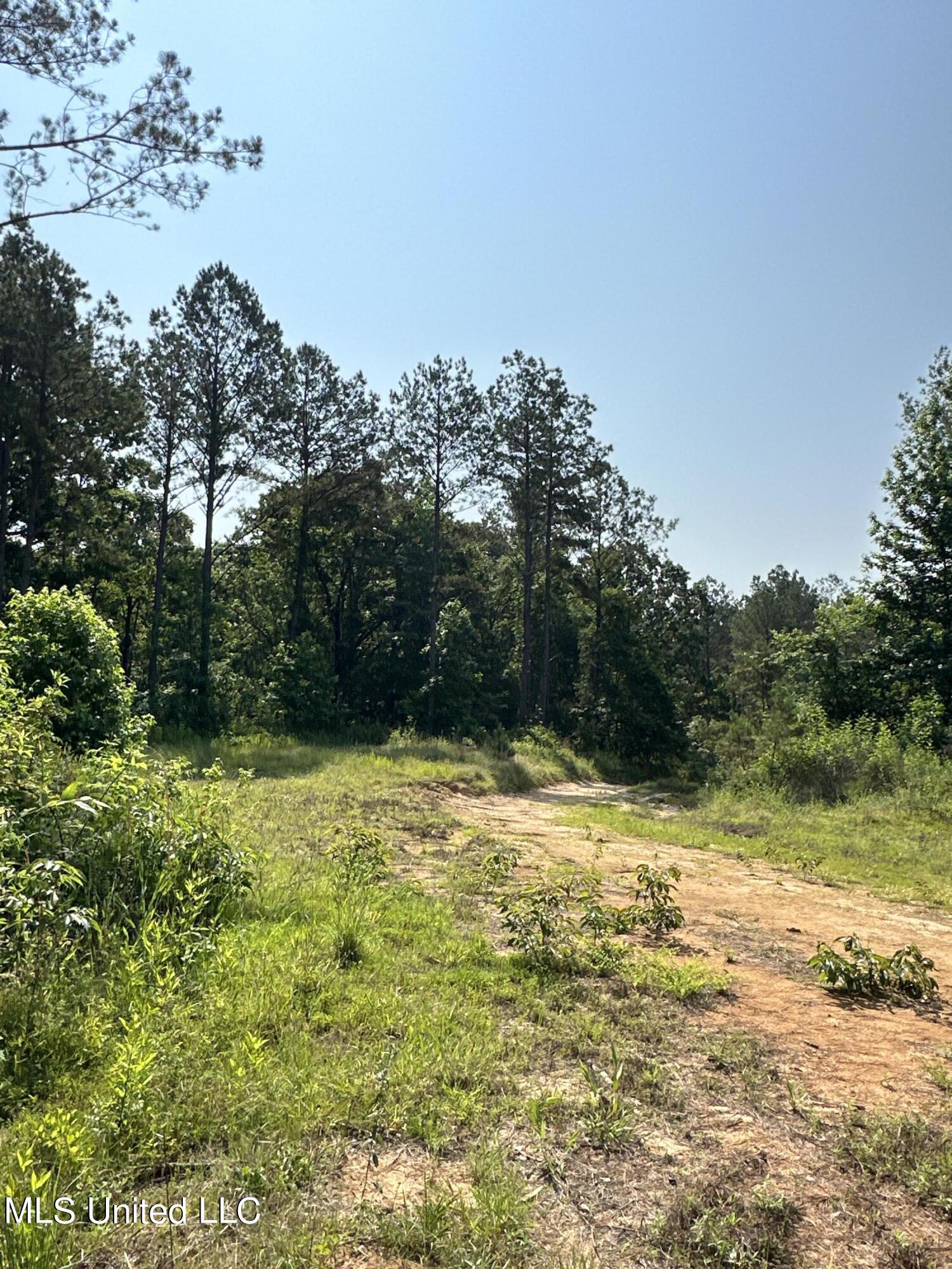 323 County Road Oxford, MS 38655 - Photo 26 of 38 IMG_4763