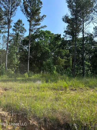 $2,250,000 | 323 County Road, Oxford, MS 38655