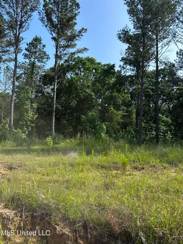 $2,250,000 | 323 County Road, Oxford, MS 38655