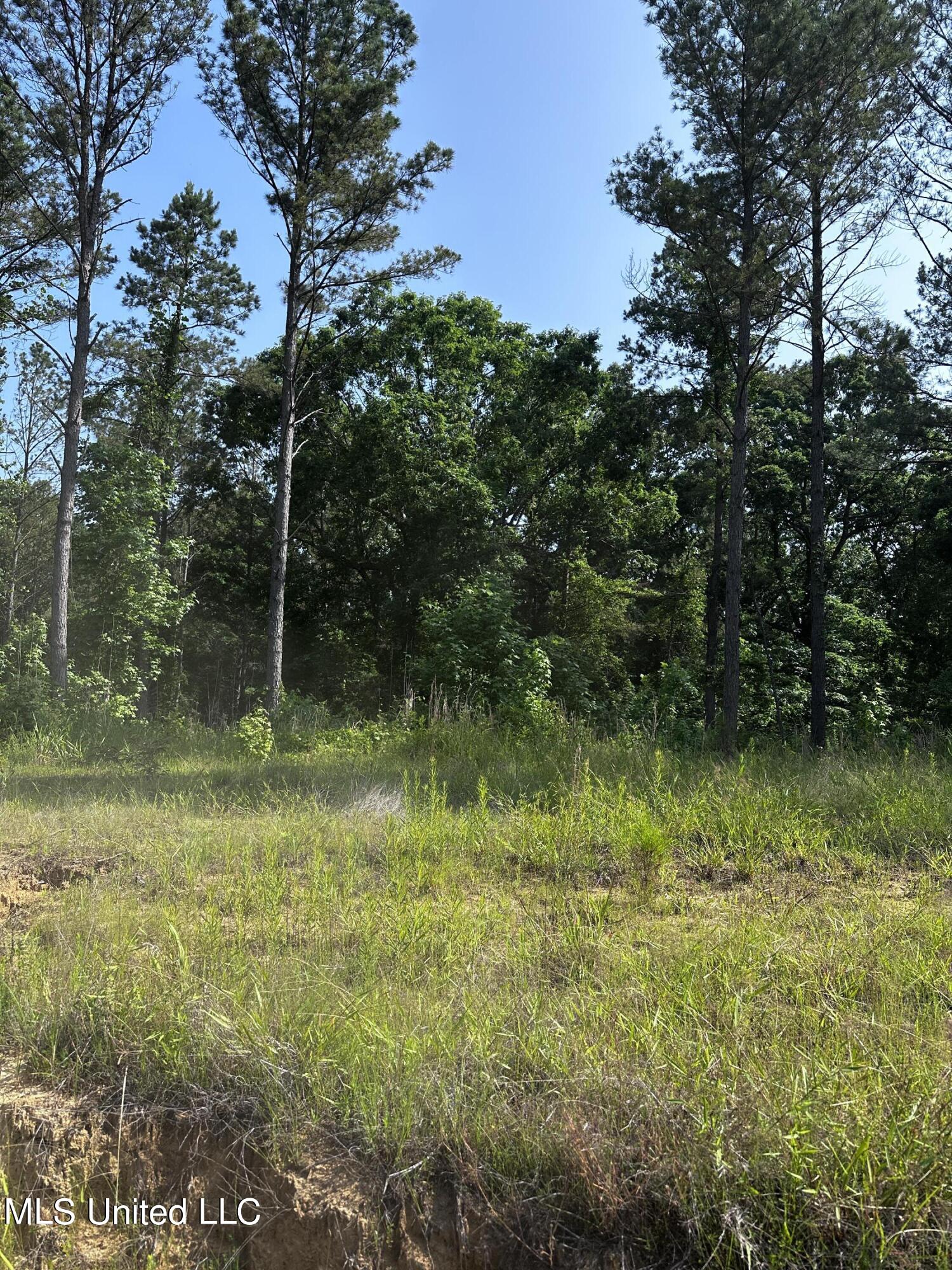 323 County Road Oxford, MS 38655 - Photo 27 of 38 IMG_4764