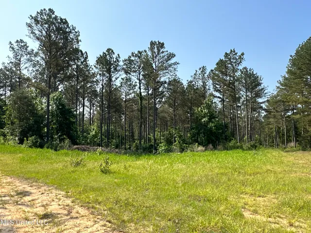 $2,250,000 | 323 County Road, Oxford, MS 38655