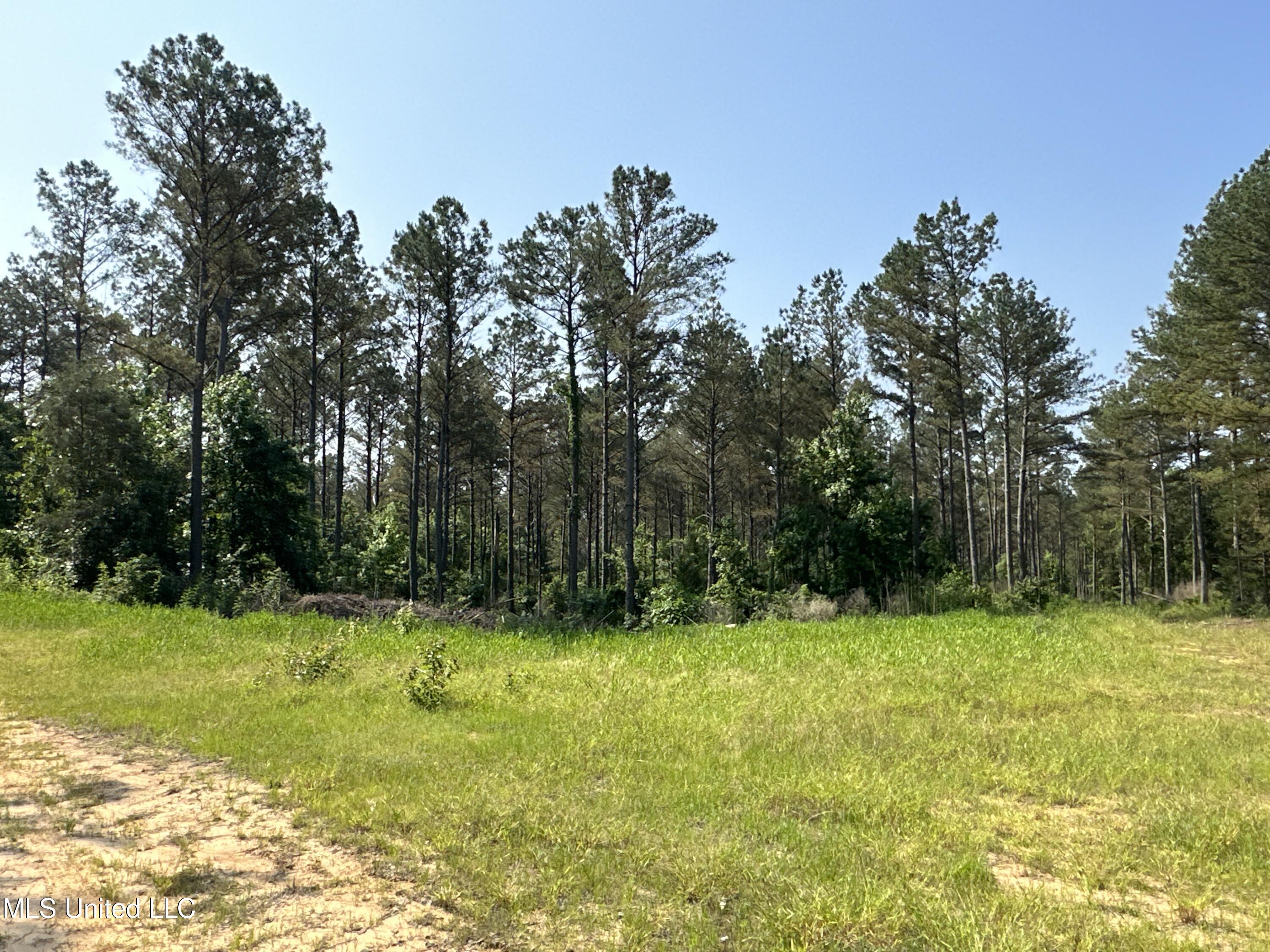 323 County Road Oxford, MS 38655 - Photo 28 of 38 IMG_4765