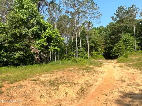 $2,250,000 | 323 County Road, Oxford, MS 38655