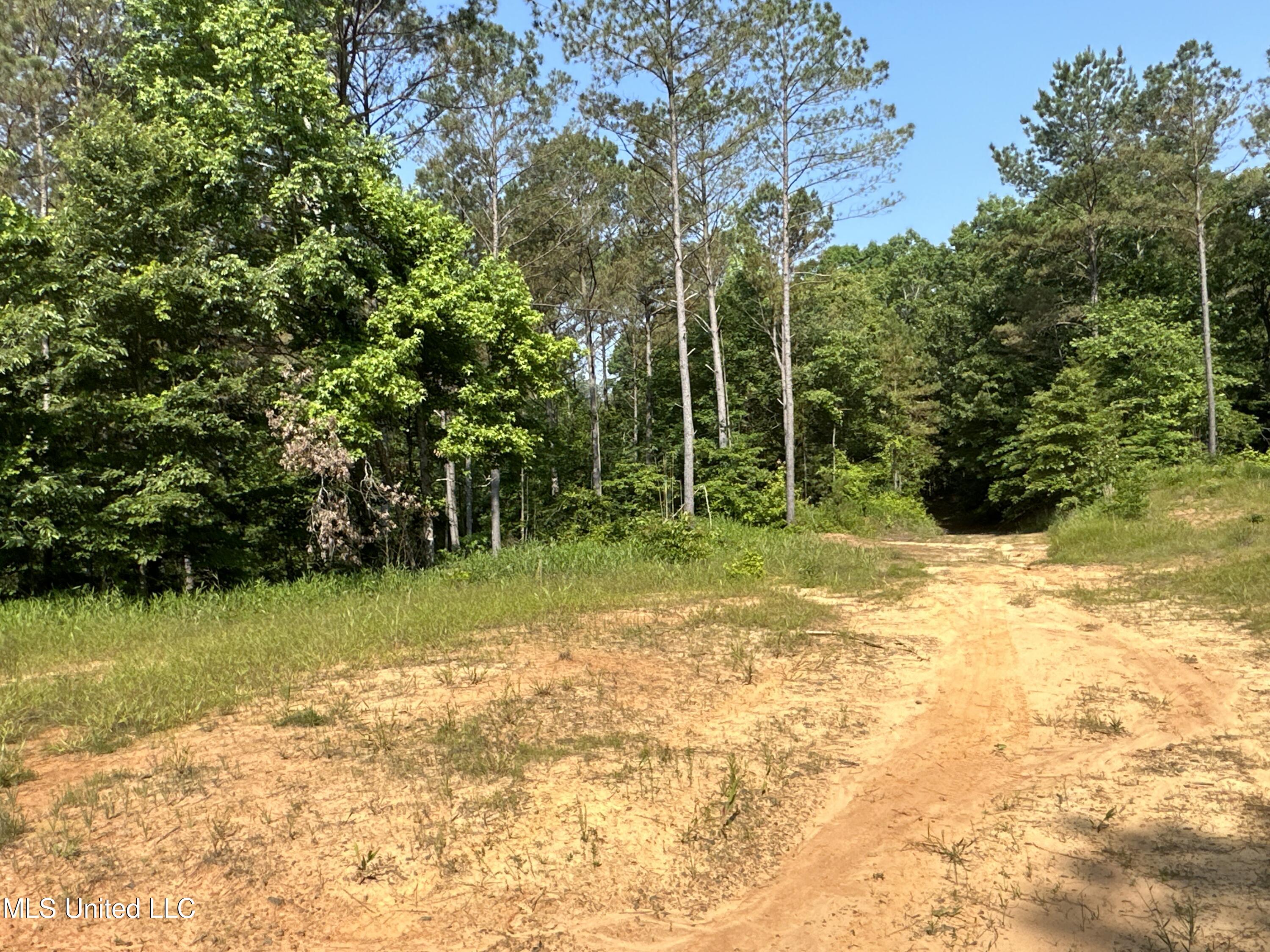 323 County Road Oxford, MS 38655 - Photo 29 of 38 IMG_4766