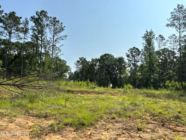 $2,250,000 | 323 County Road, Oxford, MS 38655