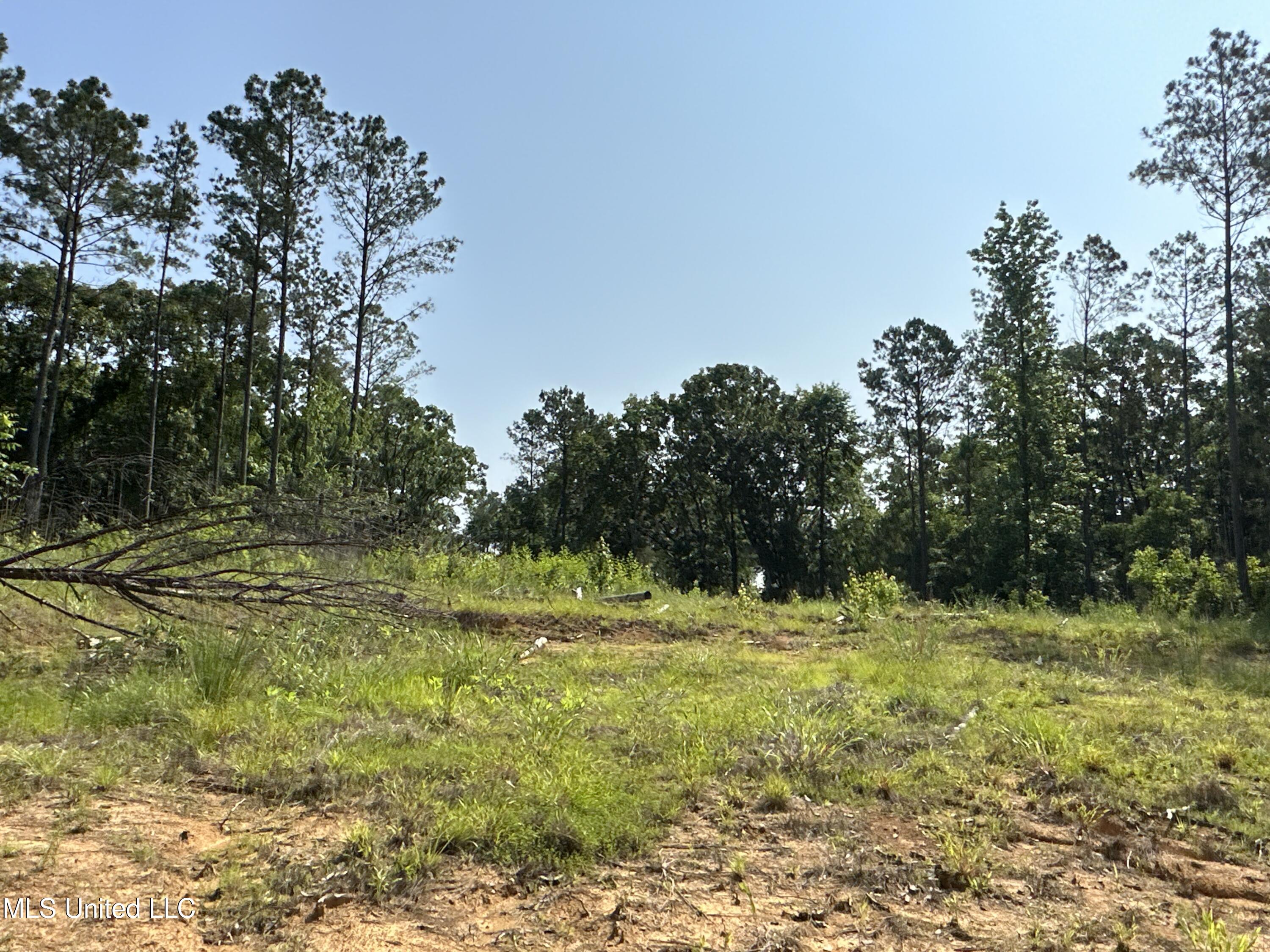 323 County Road Oxford, MS 38655 - Photo 30 of 38 IMG_4767