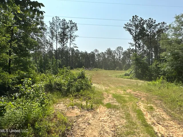 $2,250,000 | 323 County Road, Oxford, MS 38655