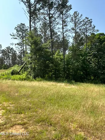 $2,250,000 | 323 County Road, Oxford, MS 38655