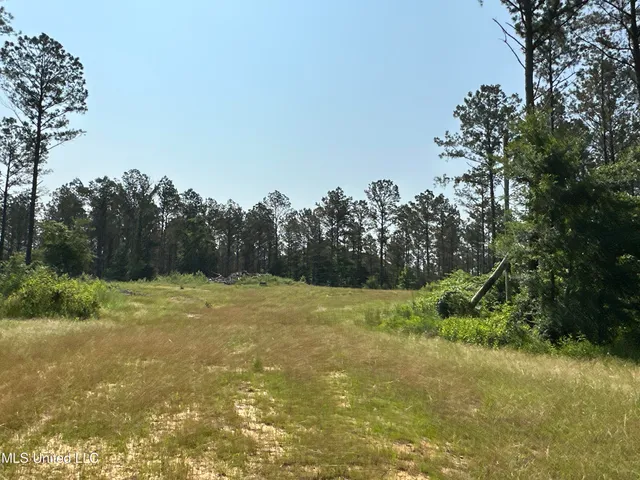 $2,250,000 | 323 County Road, Oxford, MS 38655