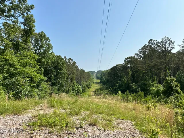 $2,250,000 | 323 County Road, Oxford, MS 38655
