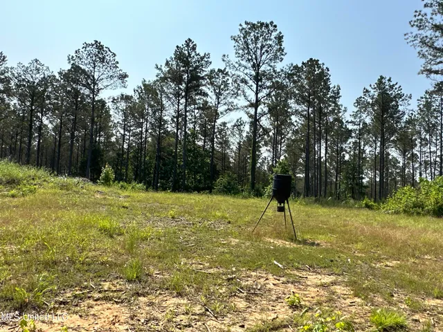 $2,250,000 | 323 County Road, Oxford, MS 38655