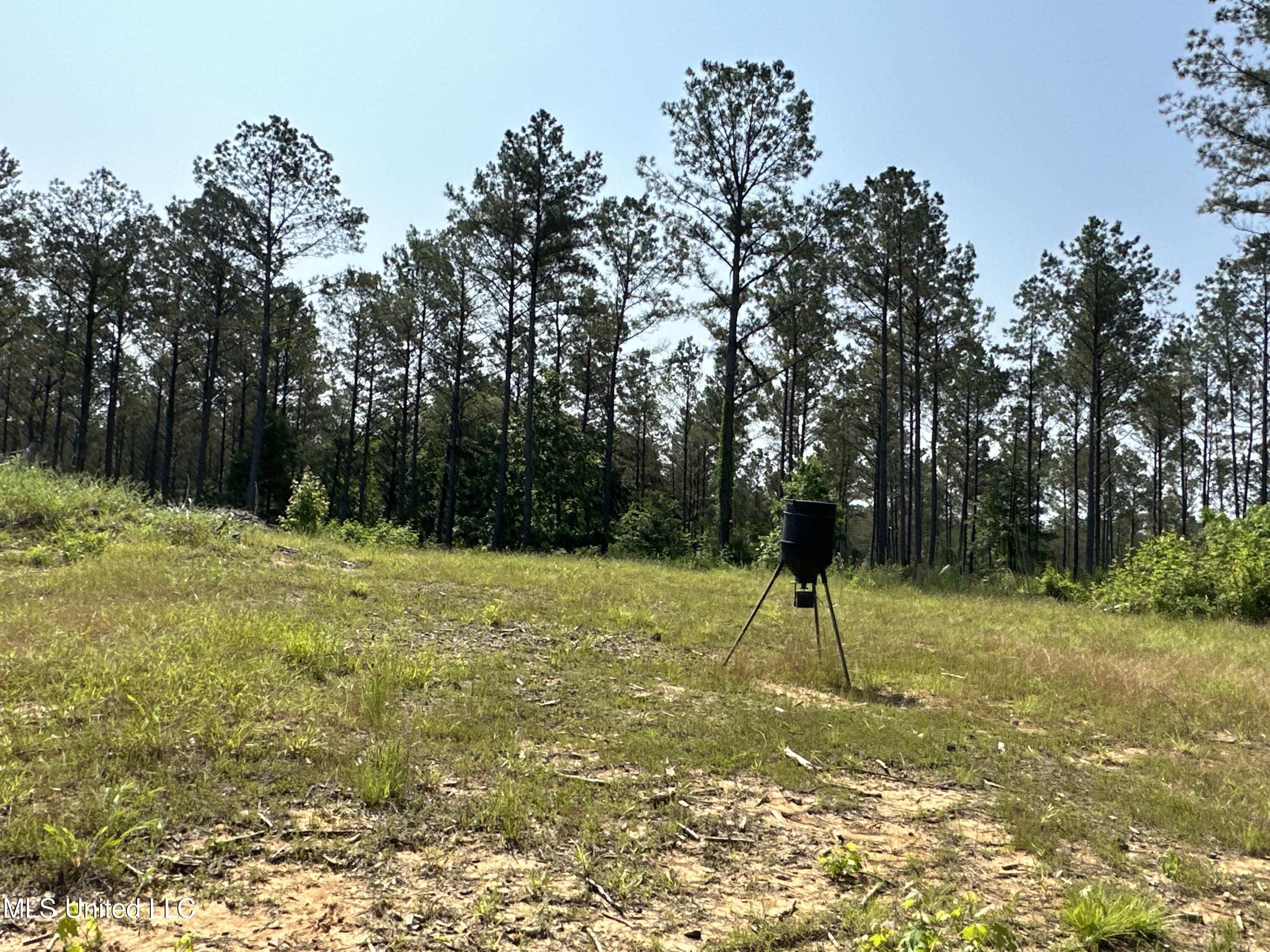 323 County Road Oxford, MS 38655 - Photo 36 of 38 IMG_4773