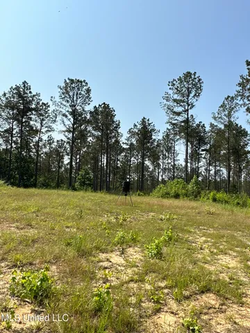 $2,250,000 | 323 County Road, Oxford, MS 38655