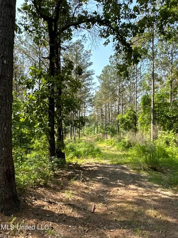 $2,250,000 | 323 County Road, Oxford, MS 38655