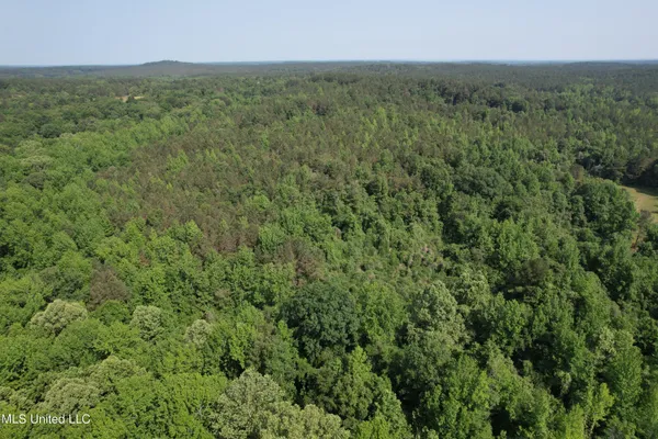 $2,250,000 | 323 County Road, Oxford, MS 38655