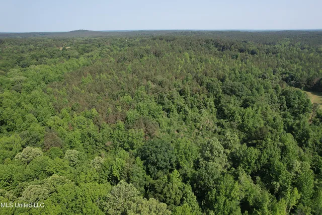 $2,250,000 | 323 County Road, Oxford, MS 38655