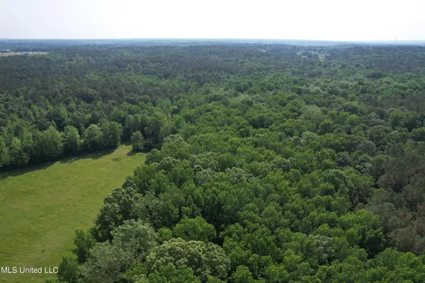 $2,250,000 | 323 County Road, Oxford, MS 38655