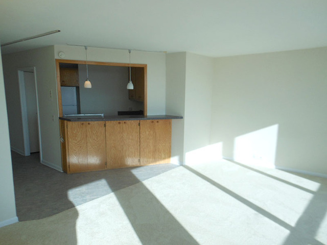 5415 North Sheridan Road, Unit 4703 Chicago, IL 60640 - Photo 8 of 16
