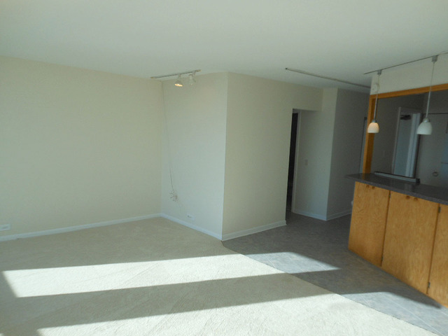 5415 North Sheridan Road, Unit 4703 Chicago, IL 60640 - Photo 9 of 16