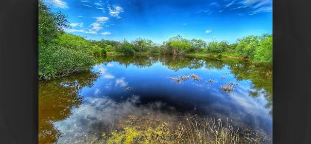 a view of a lake view with a garden