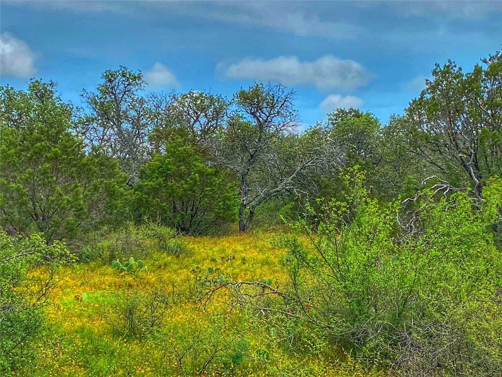 0 Cr 436 Rochelle Tx 76872 Rochelle, TX 76872 - Photo 12 of 31