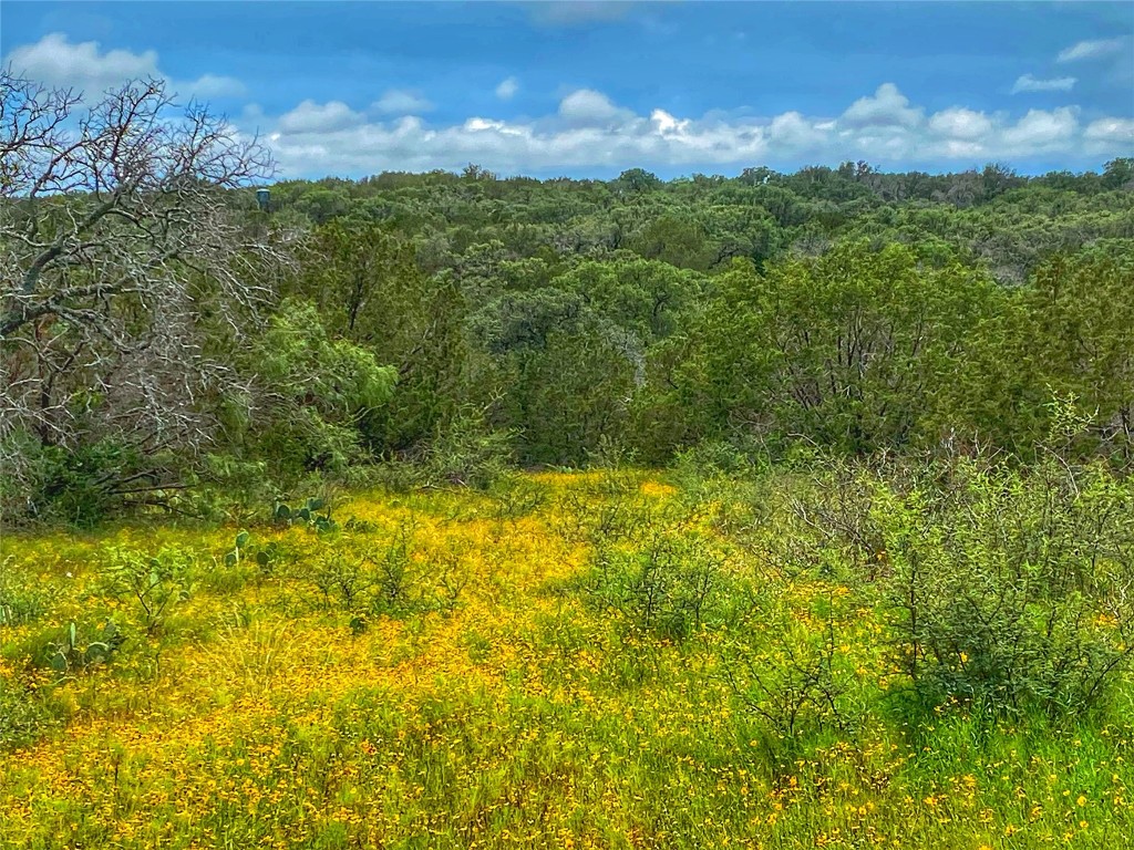 0 Cr 436 Rochelle Tx 76872 Rochelle, TX 76872 - Photo 13 of 31