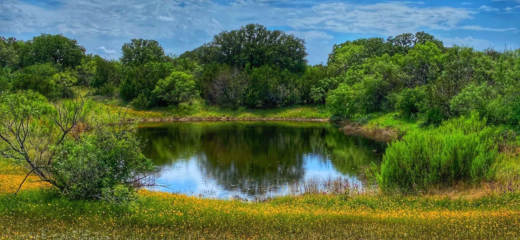 0 Cr 436 Rochelle Tx 76872 Rochelle, TX 76872 - Photo 15 of 31 a view of a lake view with a garden